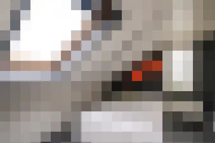 Zinker 18 Oss thumbnail 14