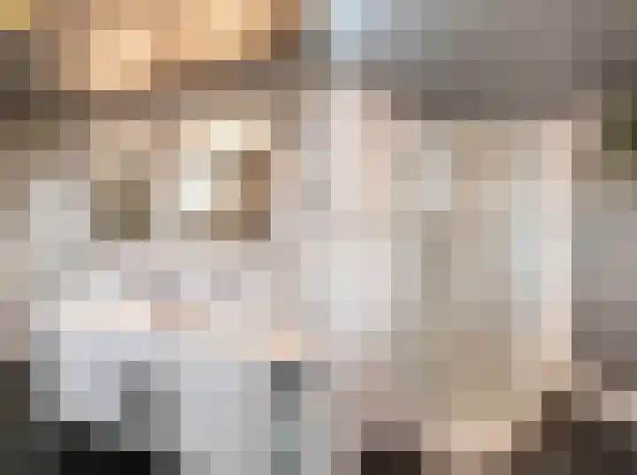 Zinker 18 Oss thumbnail 17