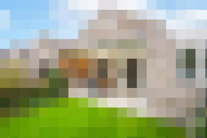 Zinker 18 Oss thumbnail 19