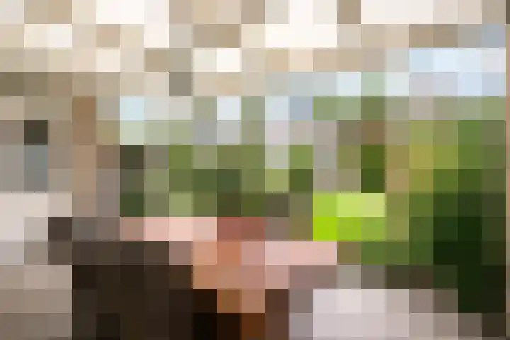 Zinker 18 Oss thumbnail 20