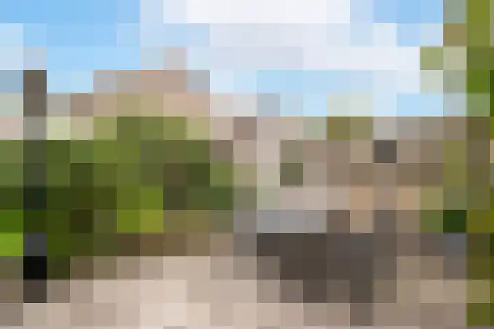 Zinker 18 Oss thumbnail 21