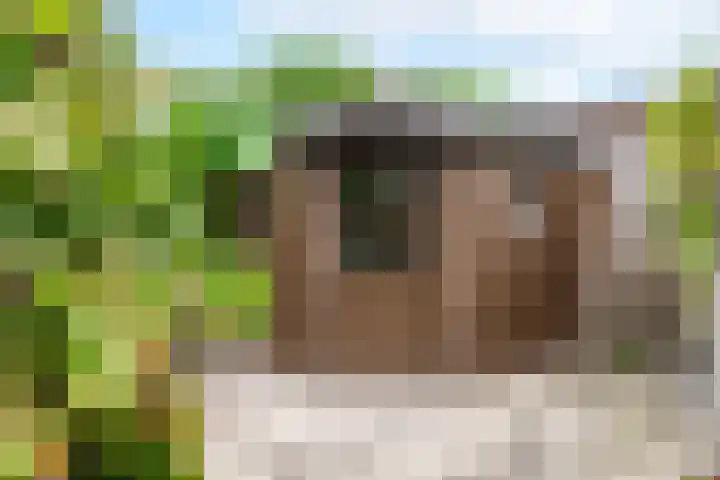 Zinker 18 Oss thumbnail 22