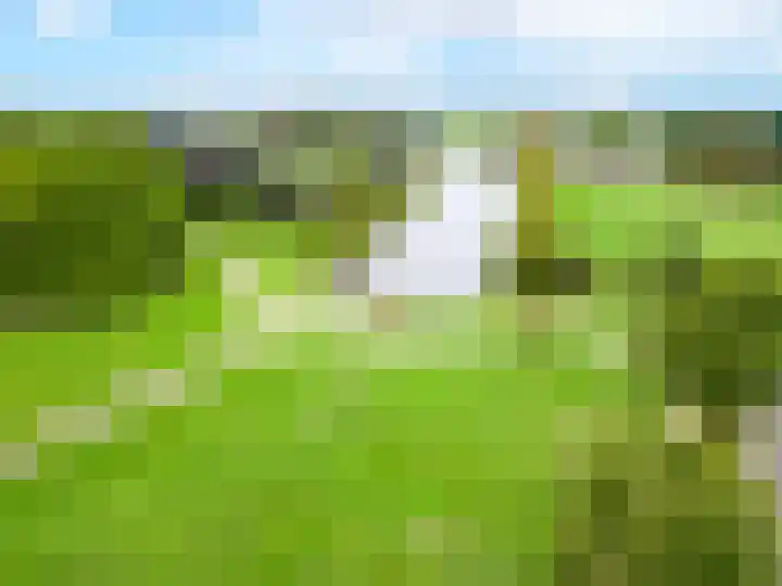 Zinker 18 Oss thumbnail 24