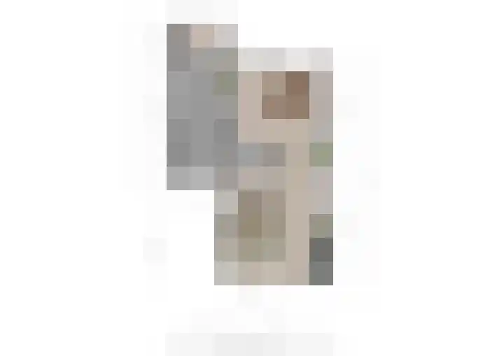 Zinker 18 Oss thumbnail 25
