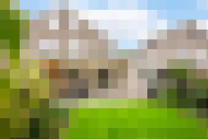 Zinker 18 Oss thumbnail 4