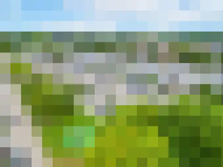 Zinker 18 Oss thumbnail 5