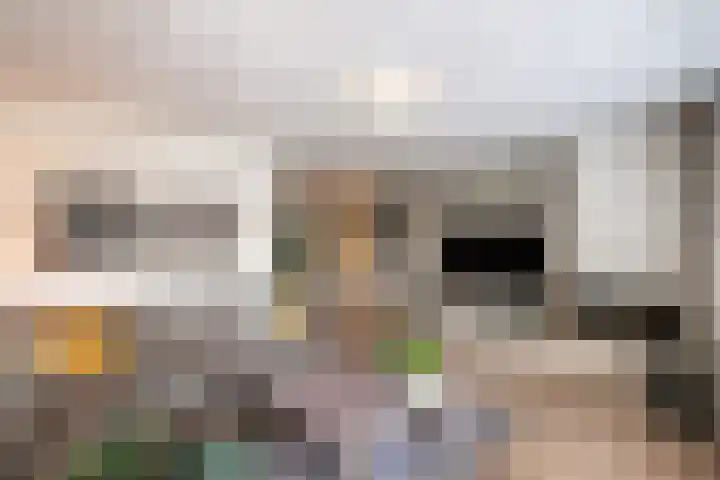 Zinker 18 Oss thumbnail 8