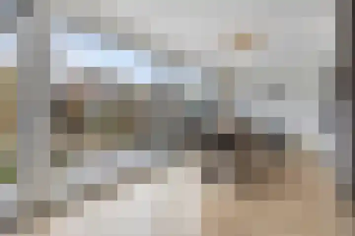 Zinker 19 Oss thumbnail 11