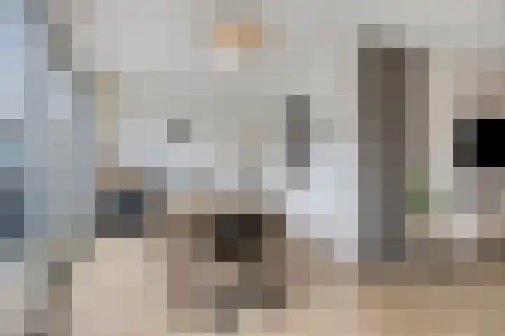 Zinker 19 Oss thumbnail 12