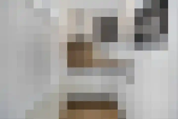 Zinker 19 Oss thumbnail 16