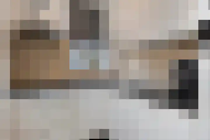 Zinker 19 Oss thumbnail 17