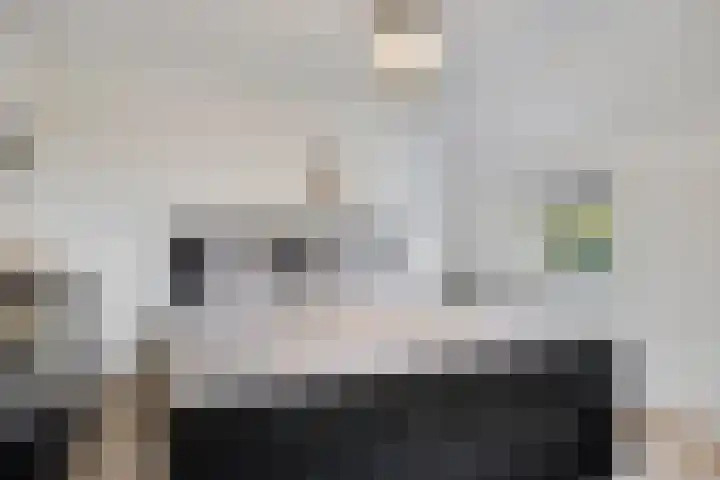 Zinker 19 Oss thumbnail 19