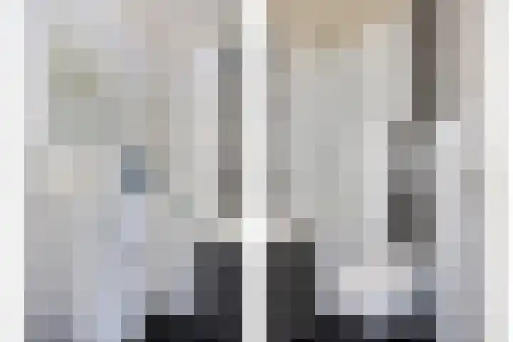 Zinker 19 Oss thumbnail 22