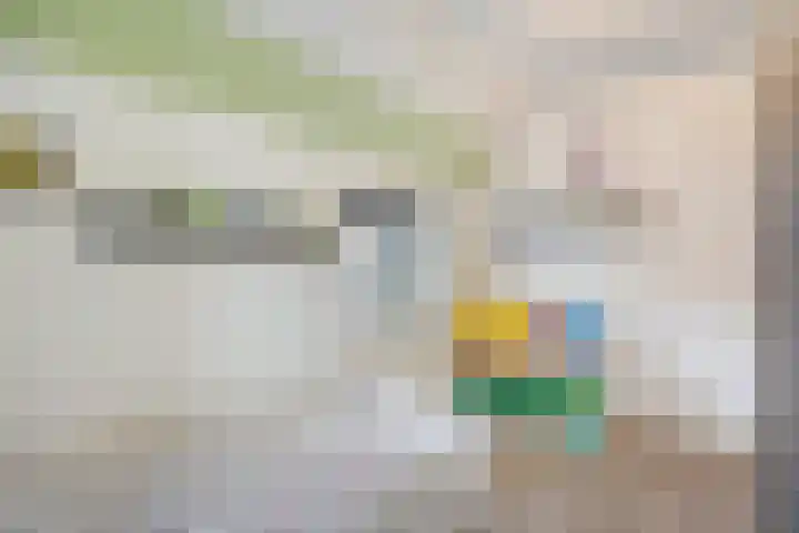 Zinker 19 Oss thumbnail 23