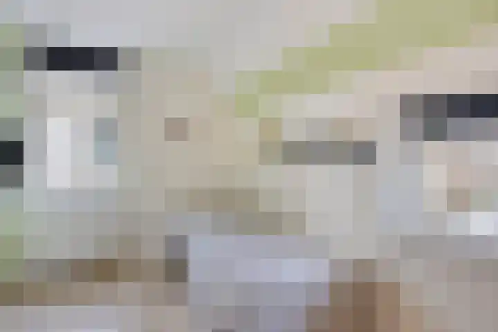 Zinker 19 Oss thumbnail 24