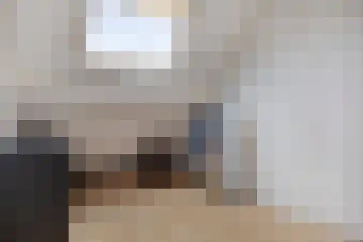 Zinker 19 Oss thumbnail 25