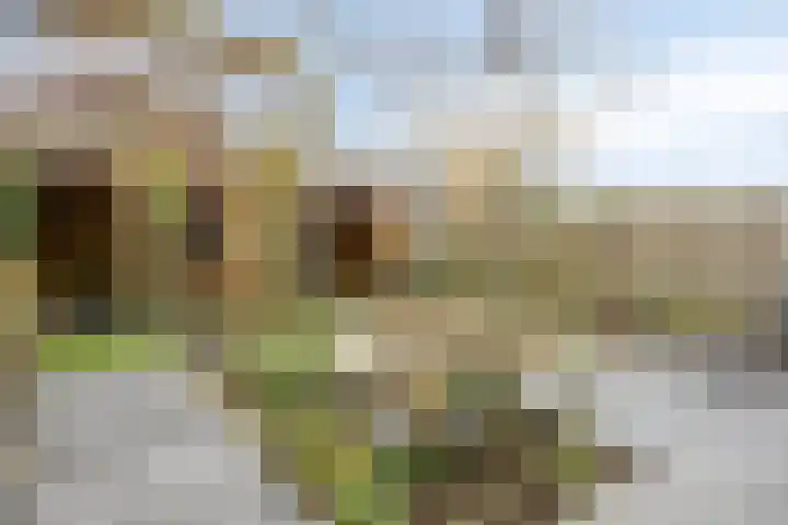 Zinker 19 Oss thumbnail 27