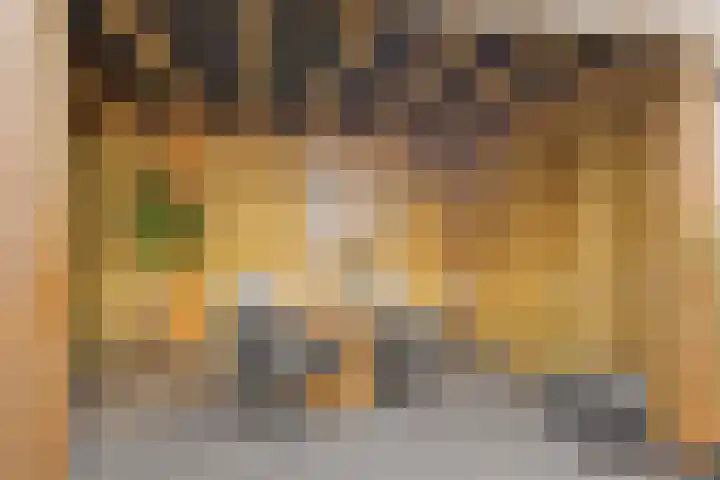Zinker 19 Oss thumbnail 29