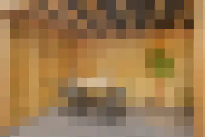 Zinker 19 Oss thumbnail 30