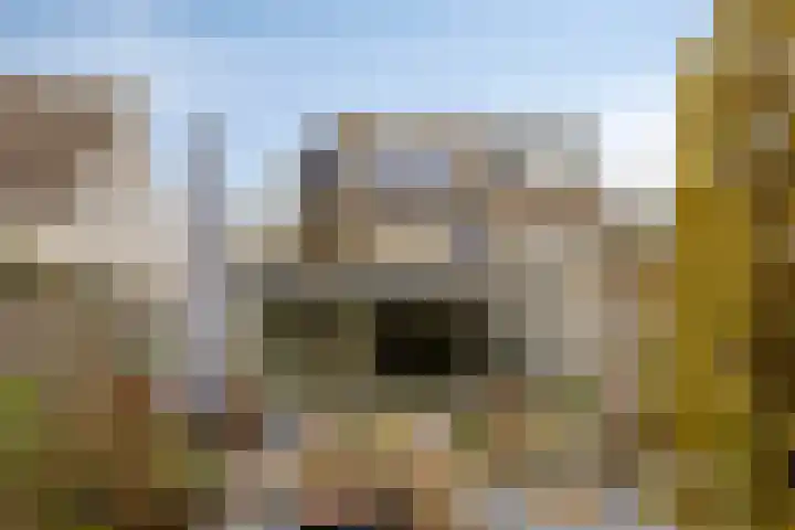 Zinker 19 Oss thumbnail 31