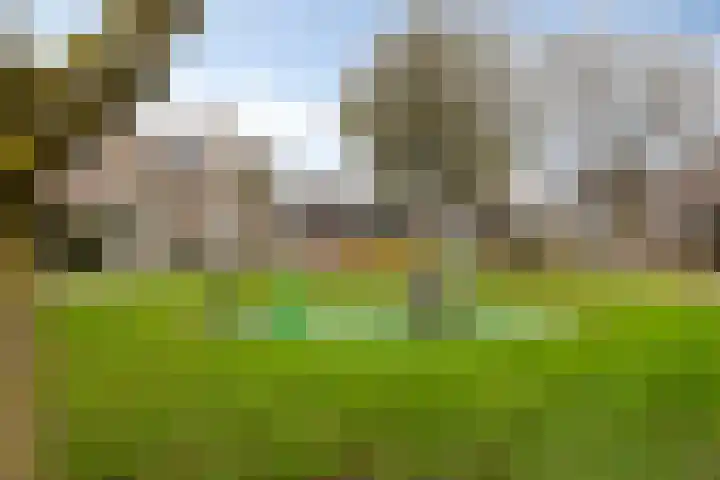 Zinker 19 Oss thumbnail 32