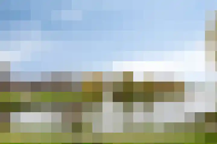 Zinker 19 Oss thumbnail 33