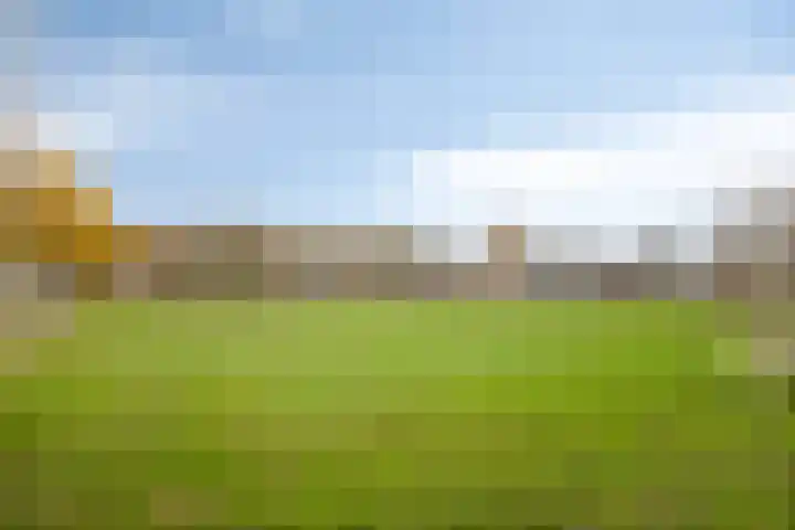 Zinker 19 Oss thumbnail 34
