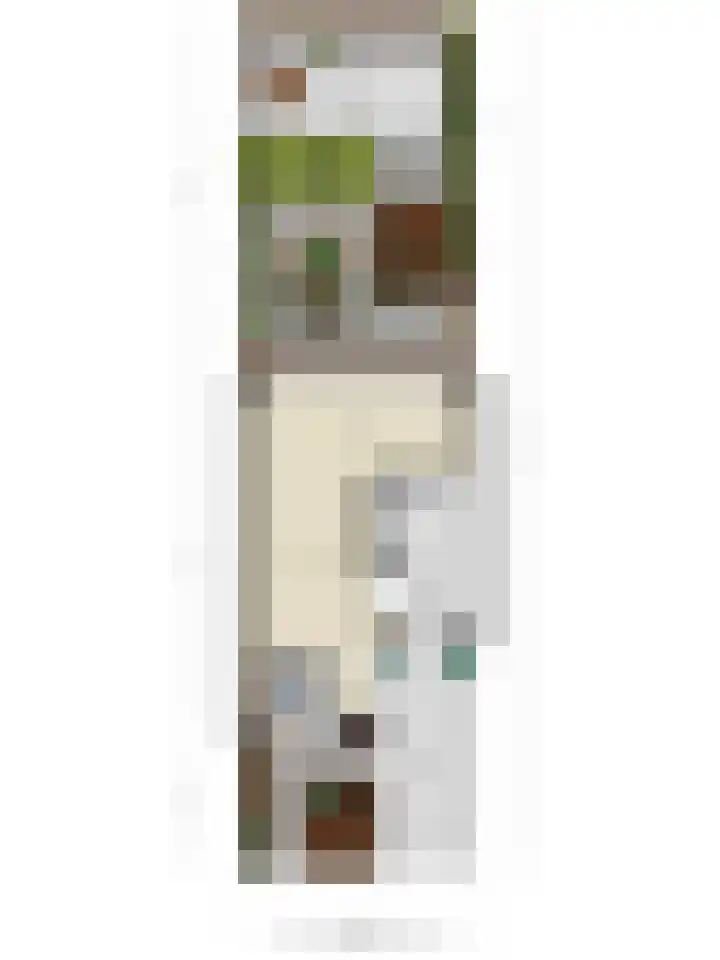 Zinker 19 Oss thumbnail 37