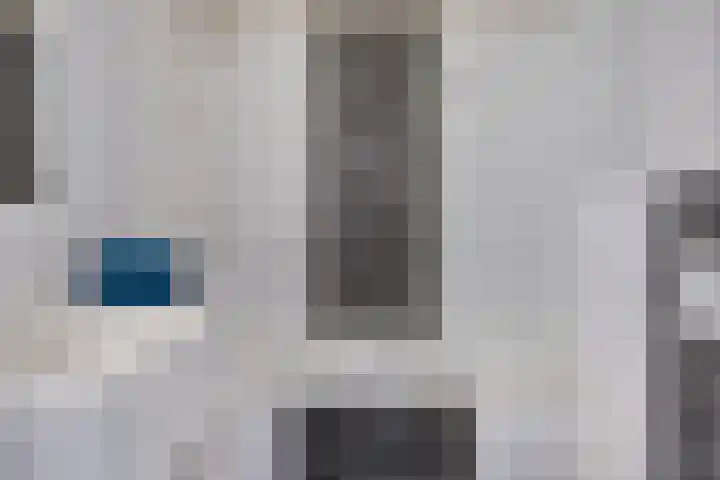 Zinker 19 Oss thumbnail 4