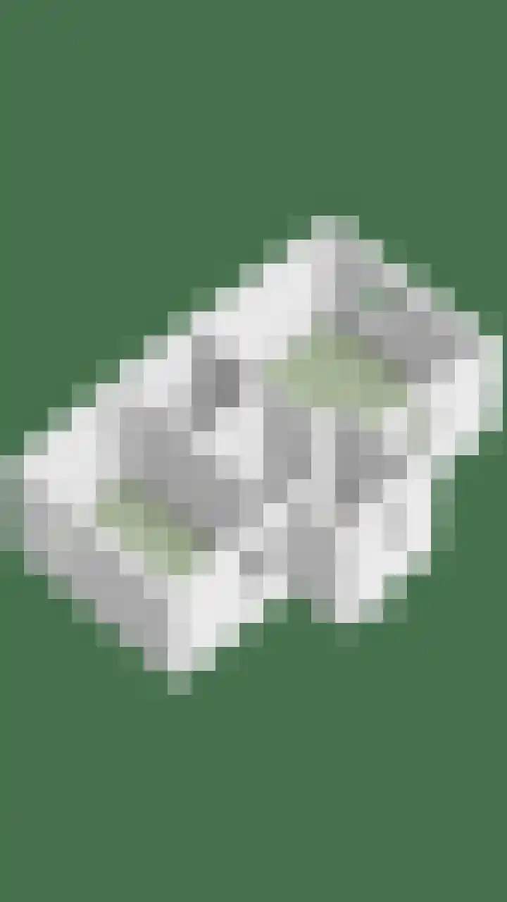 Zinker 19 Oss thumbnail 42