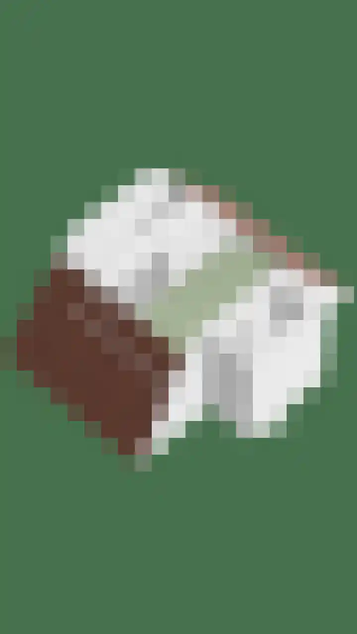 Zinker 19 Oss thumbnail 44