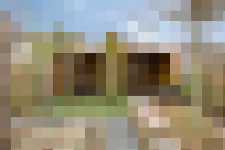 Zinker 19 Oss thumbnail 5