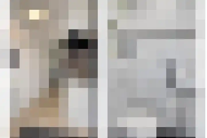 Zinker 19 Oss thumbnail 7