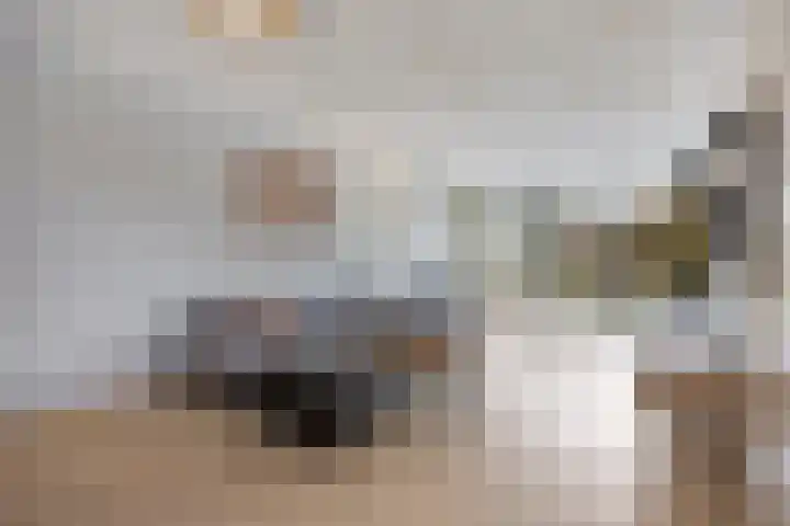 Zinker 19 Oss thumbnail 9