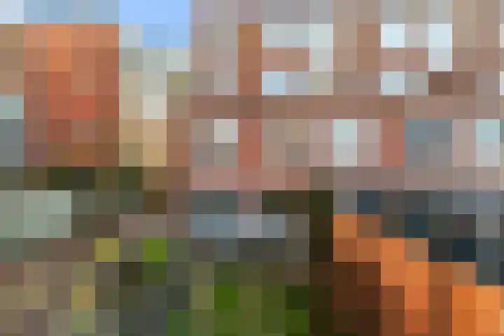 Zinkerstraat 13 Rotterdam thumbnail 44