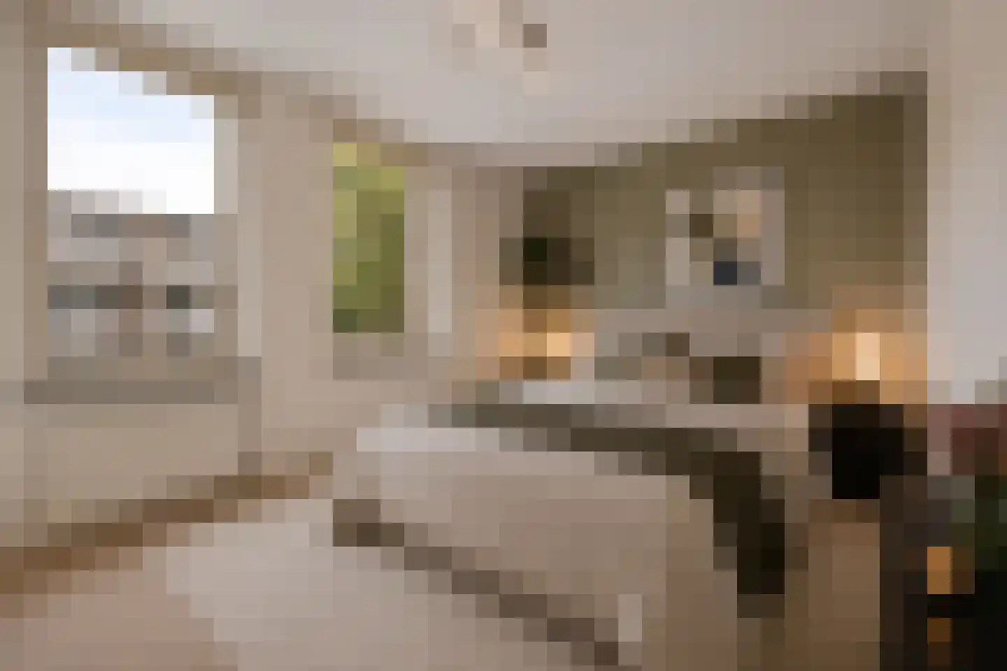 Zinkerstraat 51 Rotterdam thumbnail 18