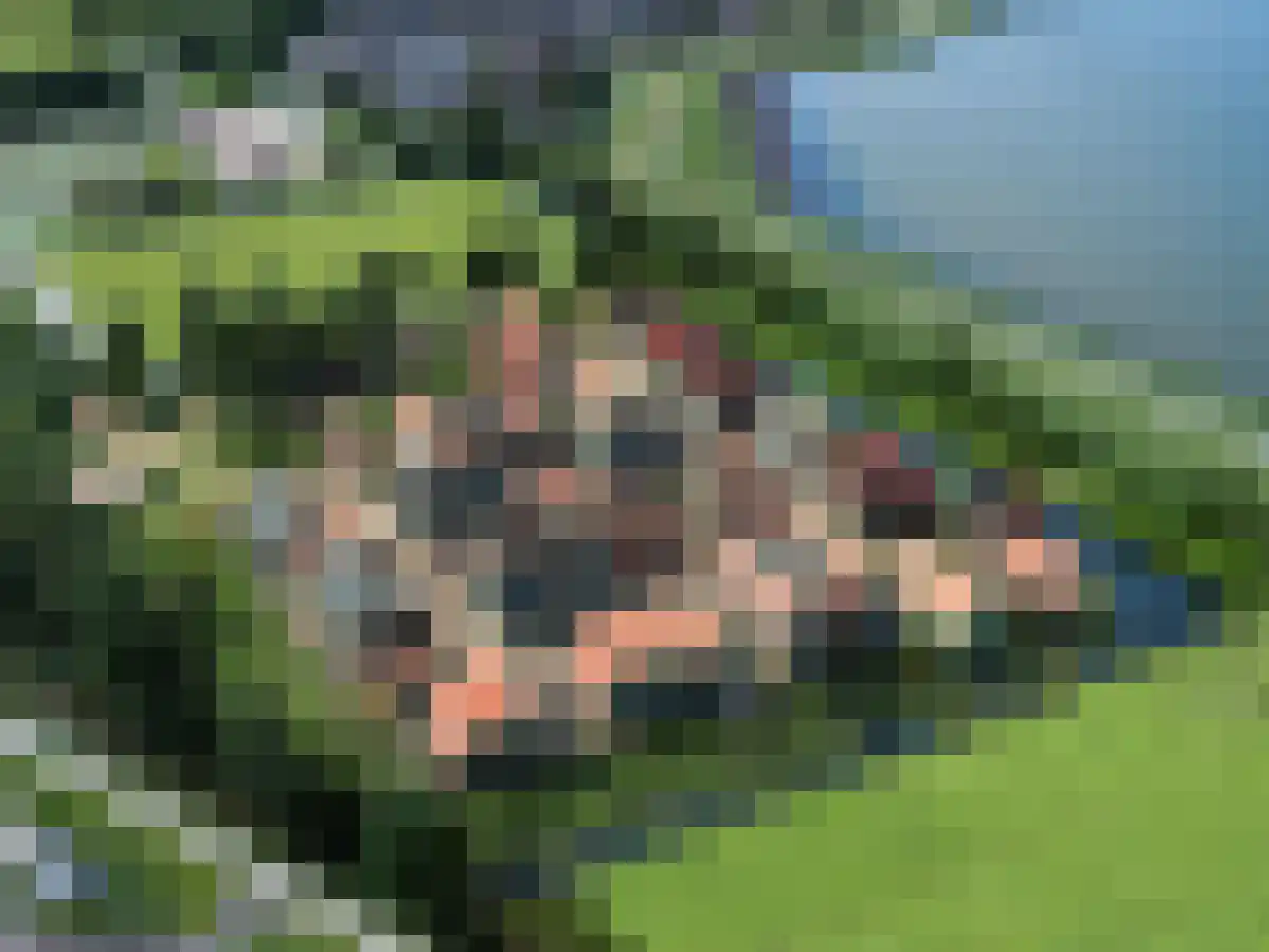 Zinkerwerf 23 Marken thumbnail 16
