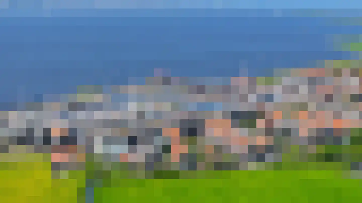 Zinkerwerf 23 Marken thumbnail 17