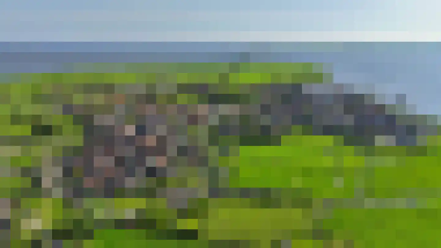 Zinkerwerf 23 Marken thumbnail 22