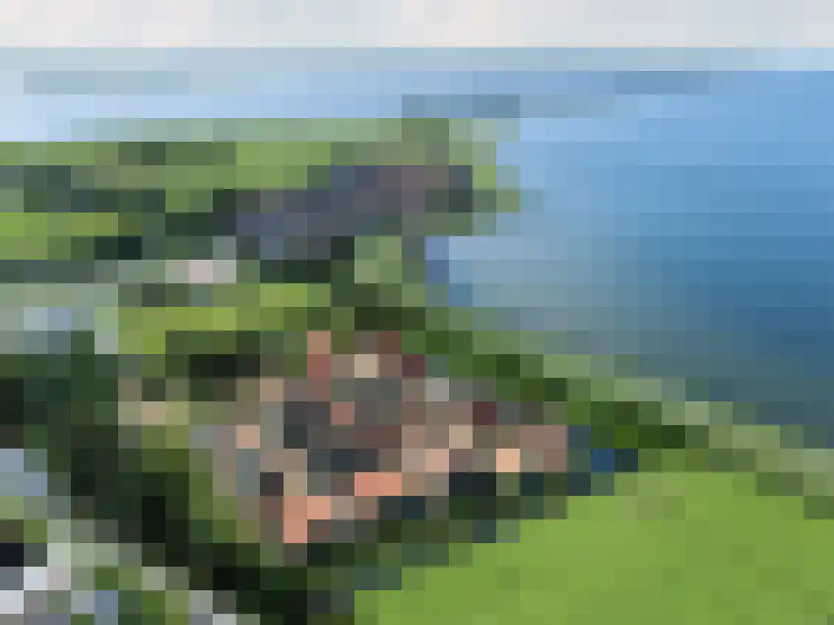 Zinkerwerf 79 Marken thumbnail 10