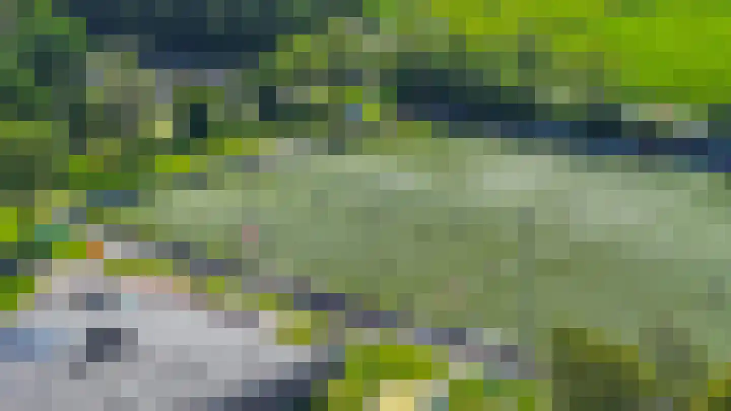 Zinkerwerf 79 Marken thumbnail 13