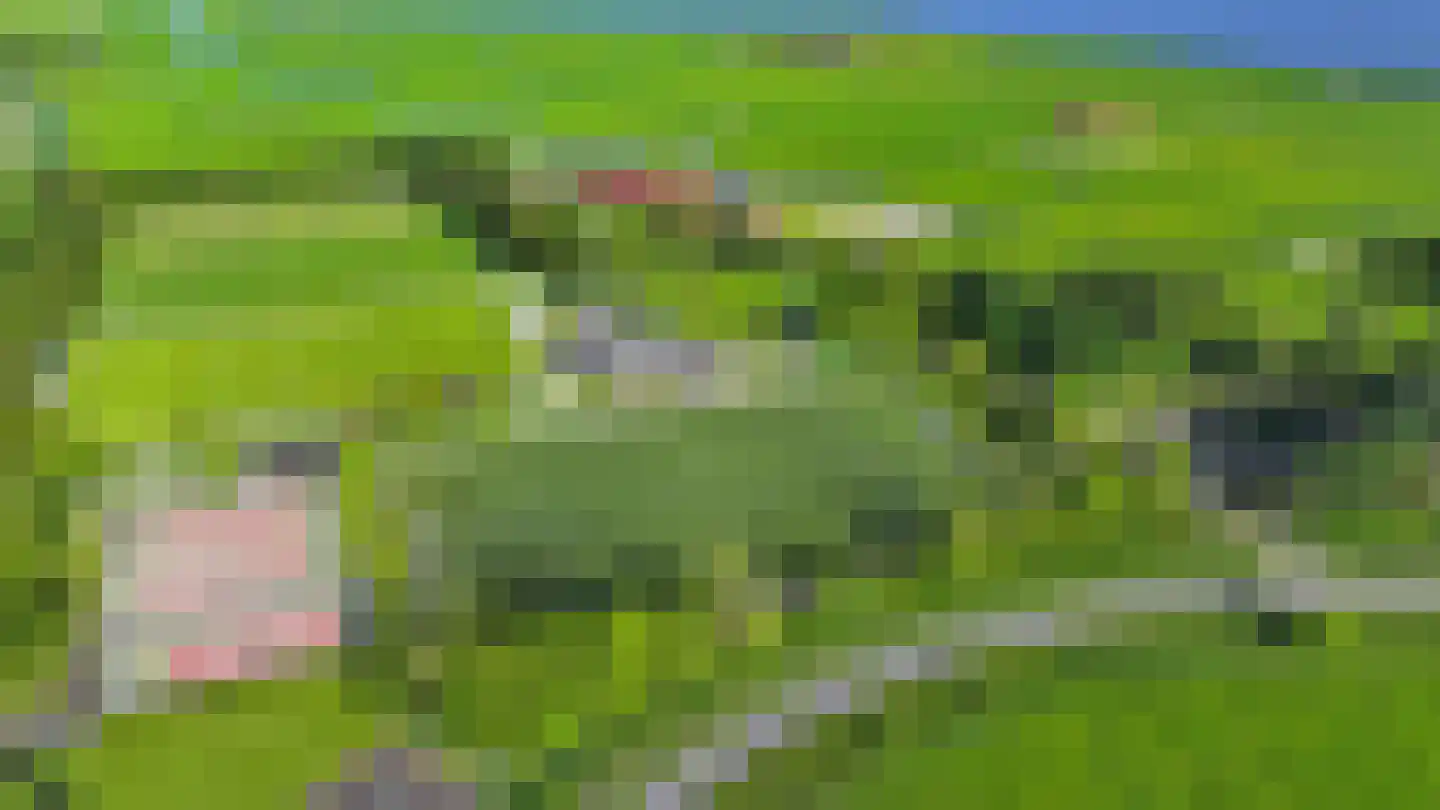 Zinkerwerf 79 Marken thumbnail 18
