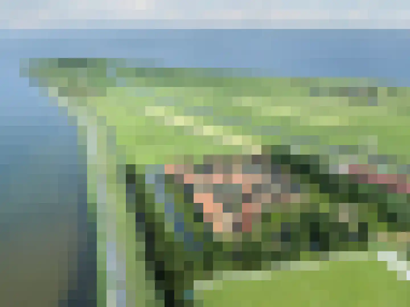 Zinkerwerf 79 Marken thumbnail 4