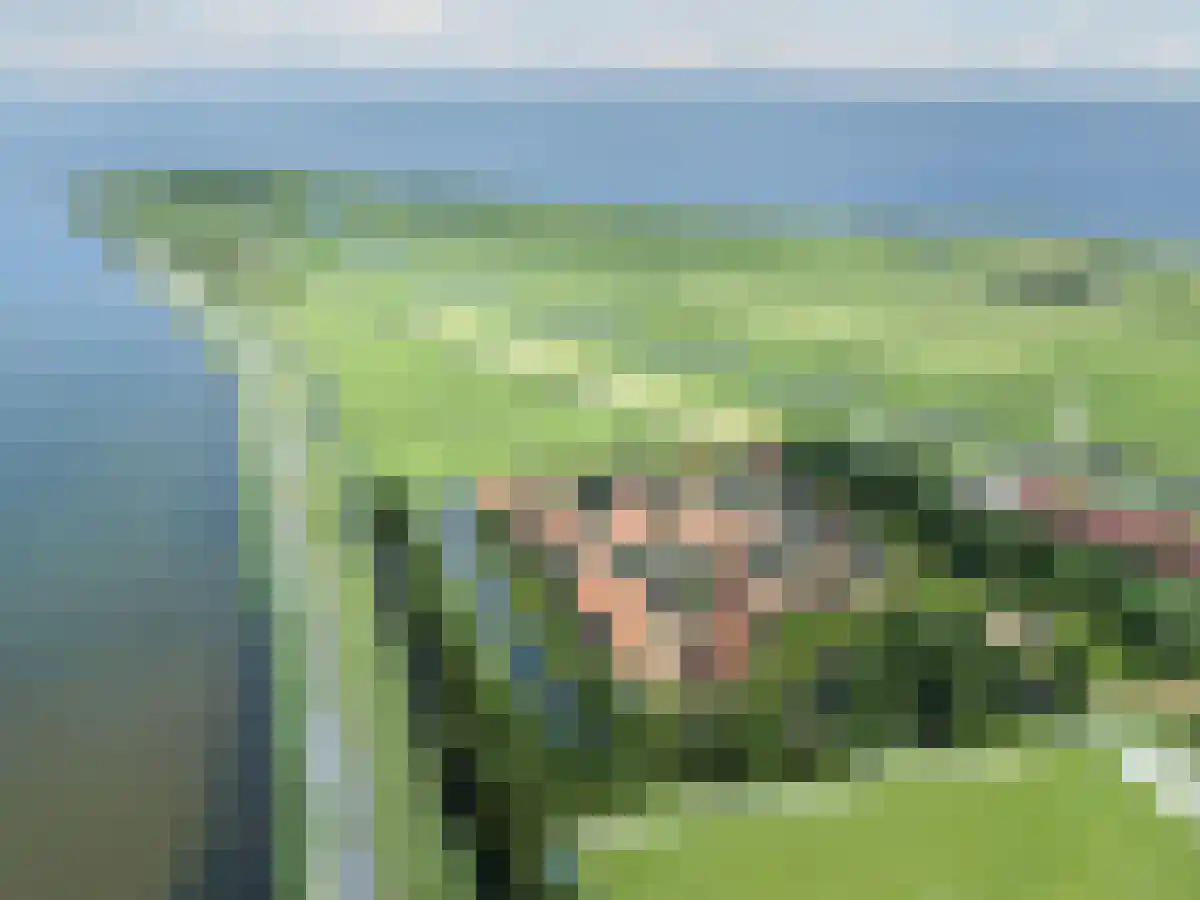 Zinkerwerf 79 Marken thumbnail 8
