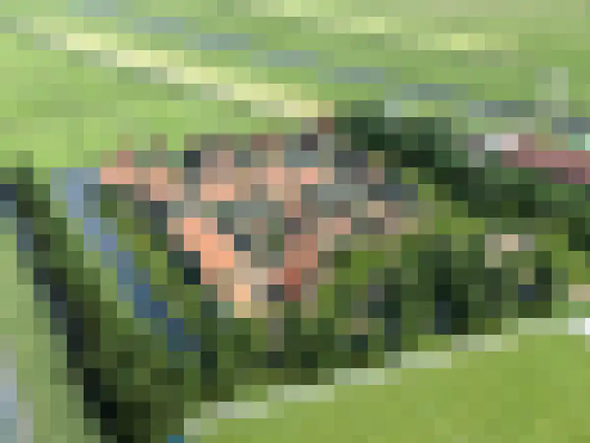 Zinkerwerf 79 Marken thumbnail 9