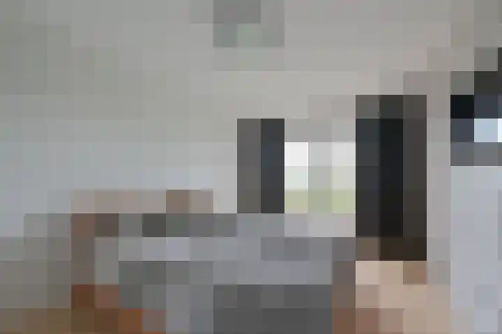 Zinkschaar 13 Nieuwkoop thumbnail 15
