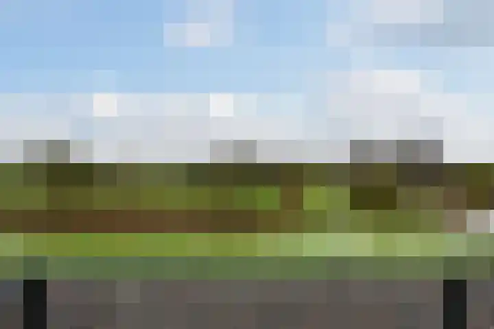 Zinkschaar 13 Nieuwkoop thumbnail 16