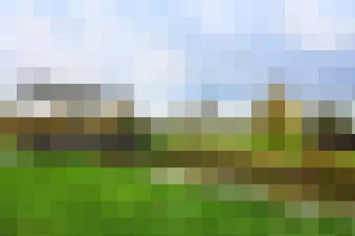 Zinkschaar 13 Nieuwkoop thumbnail 23