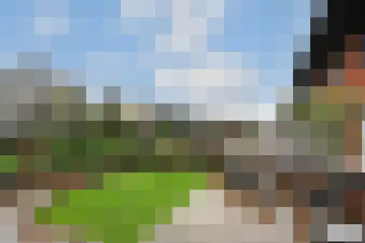Zinkschaar 13 Nieuwkoop thumbnail 24