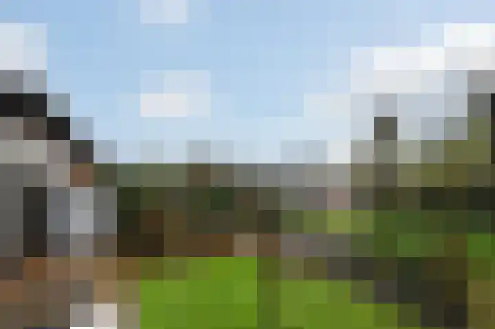 Zinkschaar 13 Nieuwkoop thumbnail 25